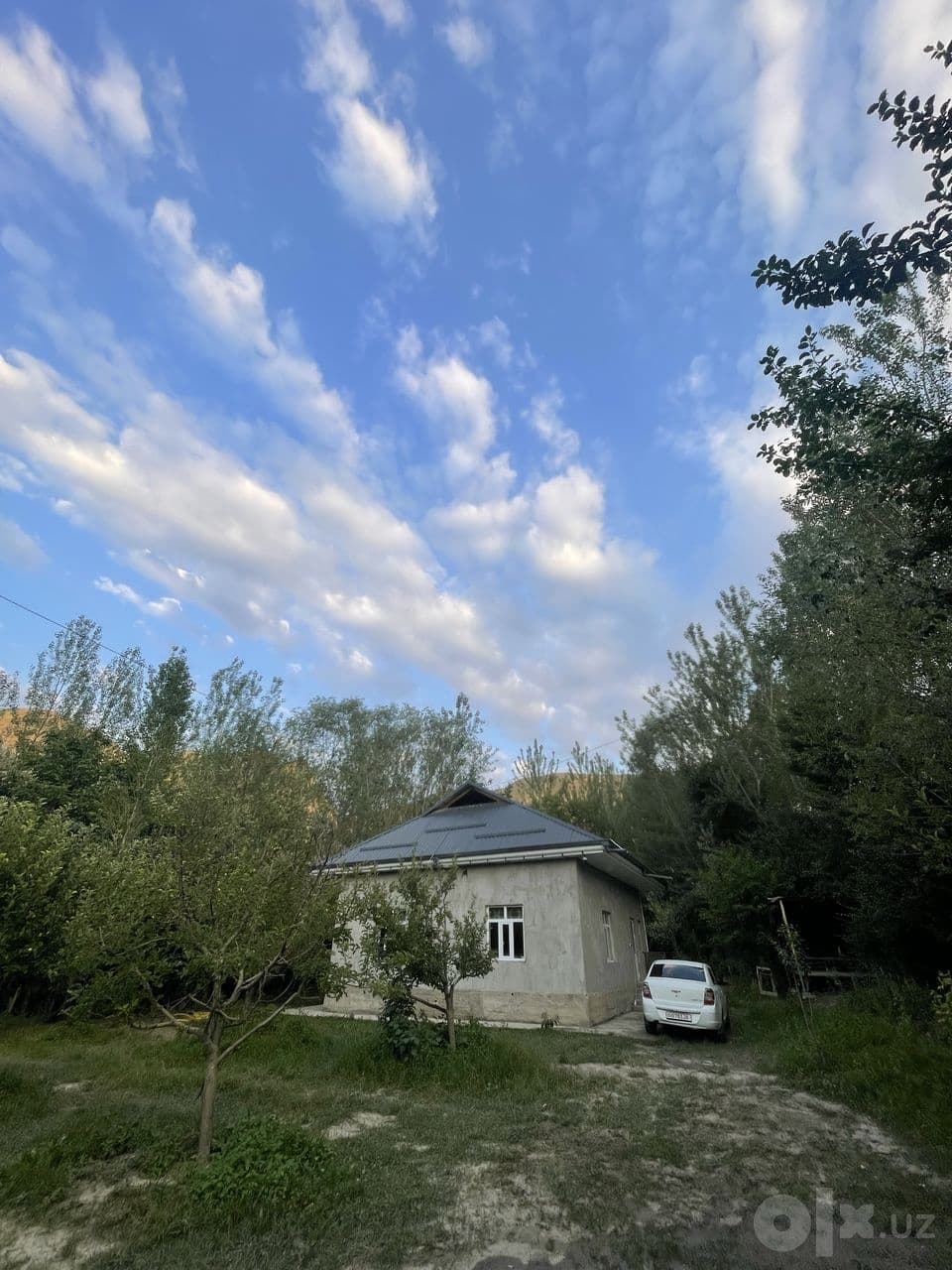Zomin dacha zomin