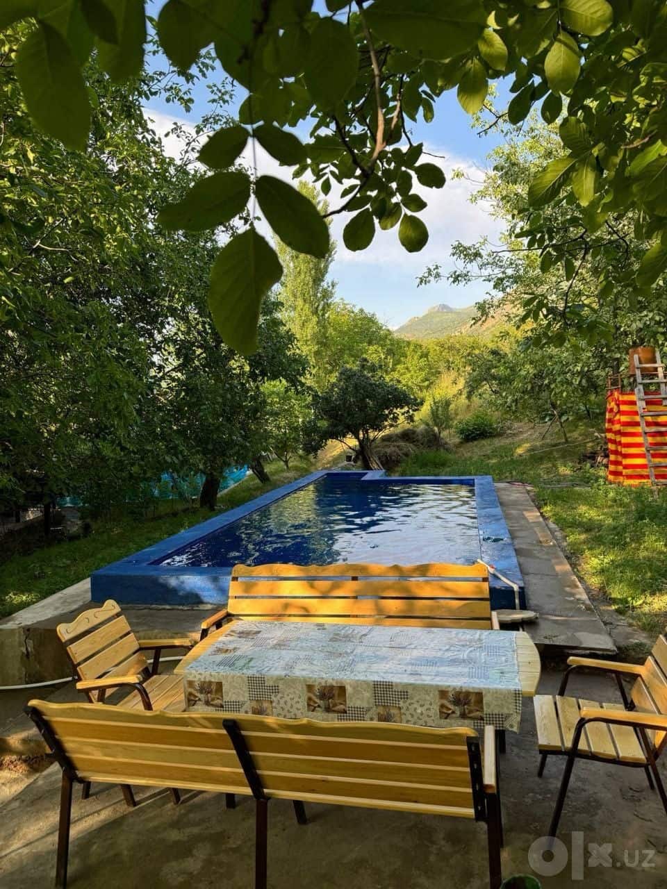 Dacha Nanay. Bostonliq